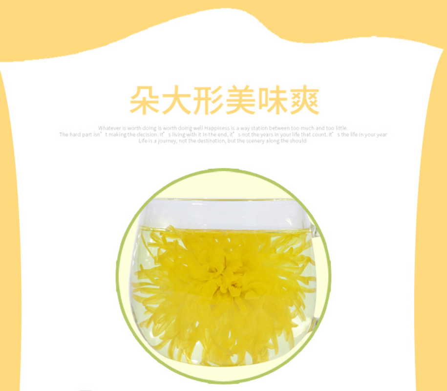 Golden silk chrysanthemum a cup of tribute chrysanthemum Wuyuan flower tea 30