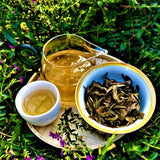 357g Natural Organic Arbor Pu'er Tea Top Yiwuqingbing Health Care Pu'er Cha Tea