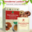LIng Zhi Cha DuLi Bao Zhuang100% Natural Organic Raw Meterial packed 20 bags/box