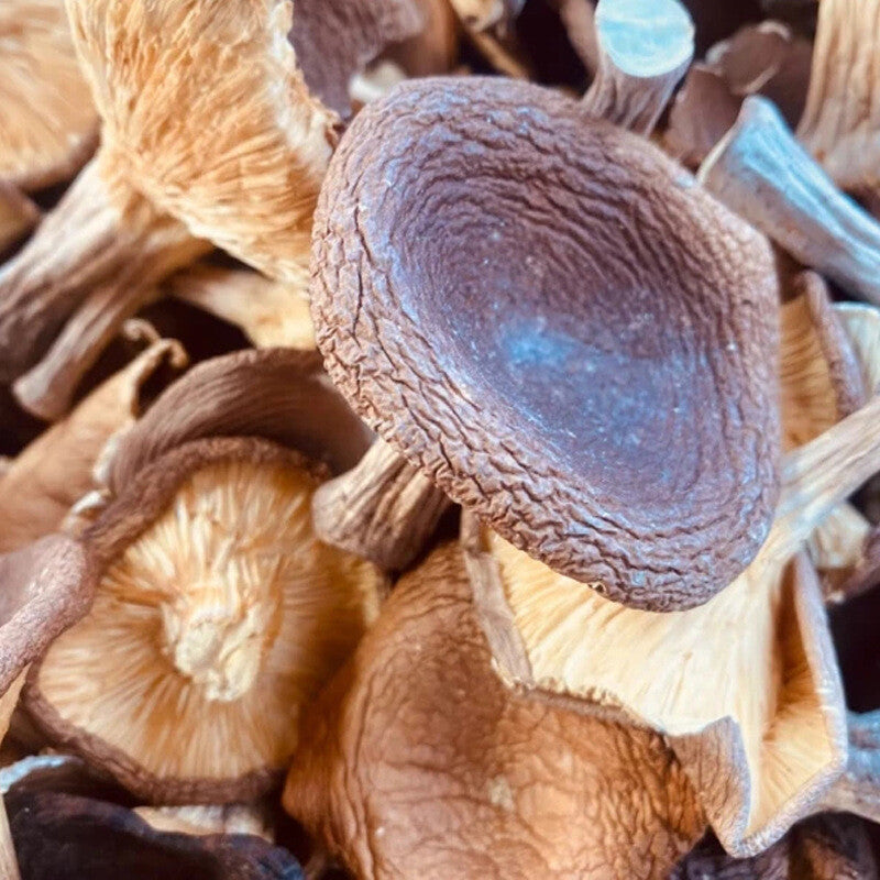 Wild Mountain Delicacies: Dried Mushrooms, Pig Stomach Fungus, Shiitake for Soup Main image