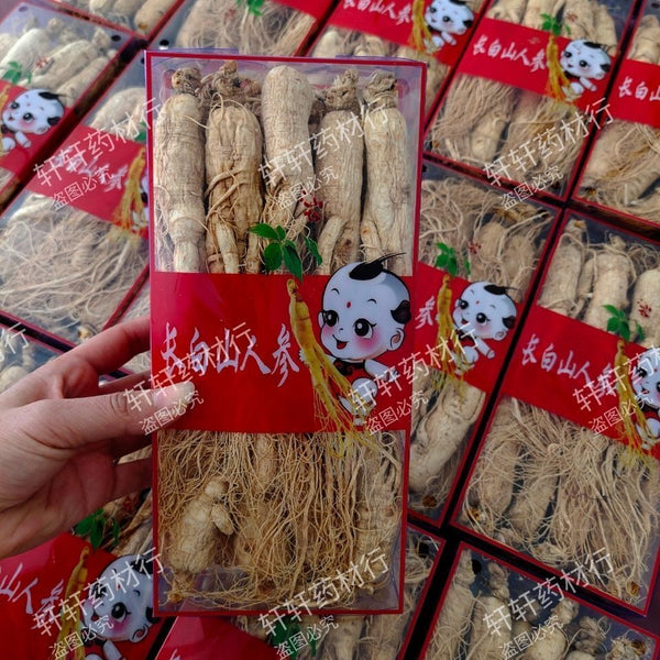 500g Mountain Premium Gift Box for Health Ginseng Whole Root from Changbai