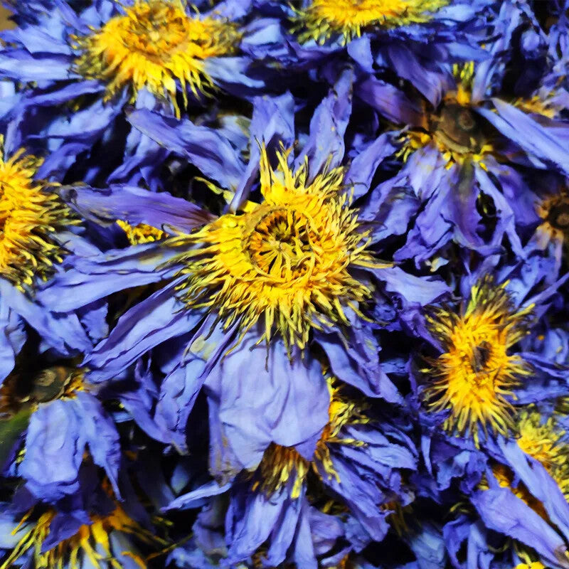 Wholesale High quality Chinese dried blue lotus flower tea Main image