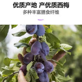 Prune Dietary Fiber Jelly 105g (15gX7 Bags)