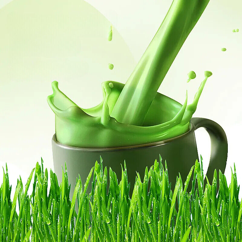 250g Gerstengraspulver 100% rein & biologisch natürliches Gras Gewichtsverlust Main image