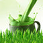 250g Gerstengraspulver 100% rein & biologisch natürliches Gras Gewichtsverlust