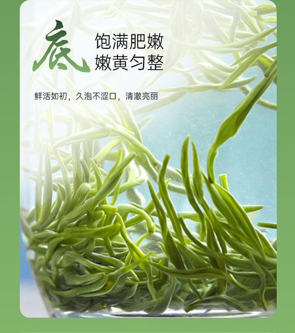Yixing Maojian Green Tea Fresh Green Tea New Tea 50g
