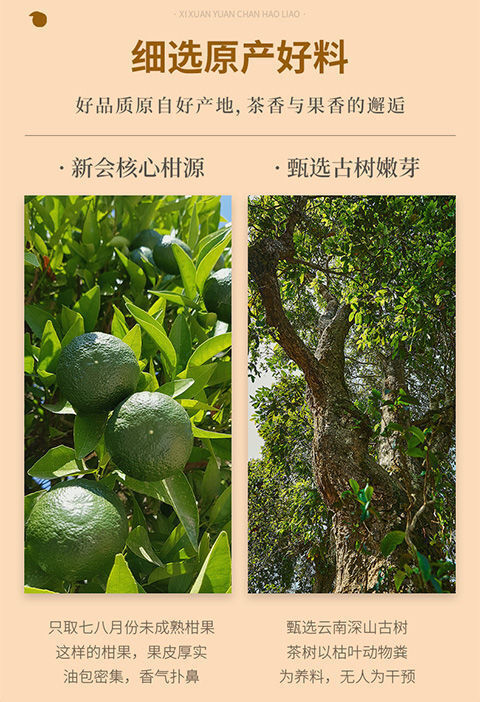 Xinhui Xiaoqingkang Puerh Tea Ripe Tea Authentic Chen Pi Raw Sunshine 250g