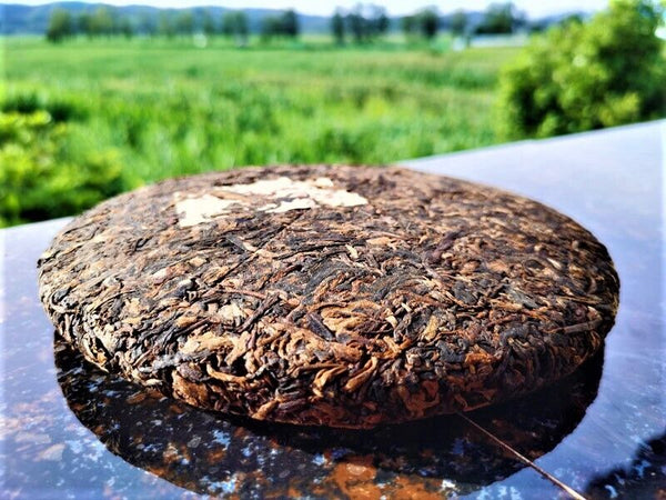 Yunnan Seven Seeds Cake Tea Yiwu High Pole Ancient Ripe Old Pu'er Tea Cake12.6oz