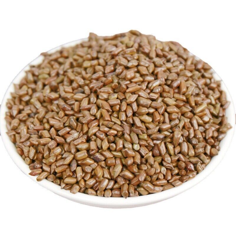 500g Cassia seeds tea new product cooked cassia seeds tea bulk herbal tea Secondary image