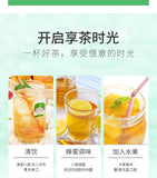 Cold Brew Lemon Mint Green Tea Cold Brew Crafted Fruit Tea Bags 20 Count