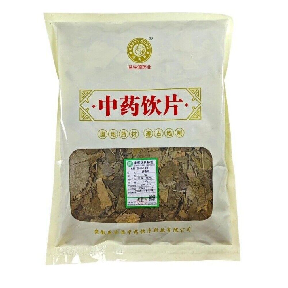 Ginkgo Leaf Tea Natural Health Benefits Traditional Chinese Herbal Wellness