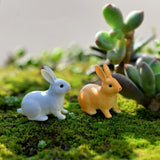 Moss Micro Landscape Deco Garden Mini 3pcs Rabbit Bottle Decoration Supplies