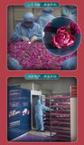 Rose Dried Tea Rose Crown Flower Tea One Flower One Cup Soaked in Water 65g