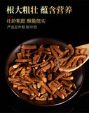 Dandelion Root Tea Changbai Mountain Dandelion Root Grandma Ding Root Tea