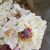 Peony Flower Dried White Peony Flower Petals Whole