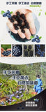 100% Natural Dried Wild Blueberries | No Sugar Added | Healthy Snack | 100g