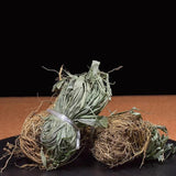 Organic Dried Herba Lophatheri Herba, Lophatherum Herb, Dan Zhu YE