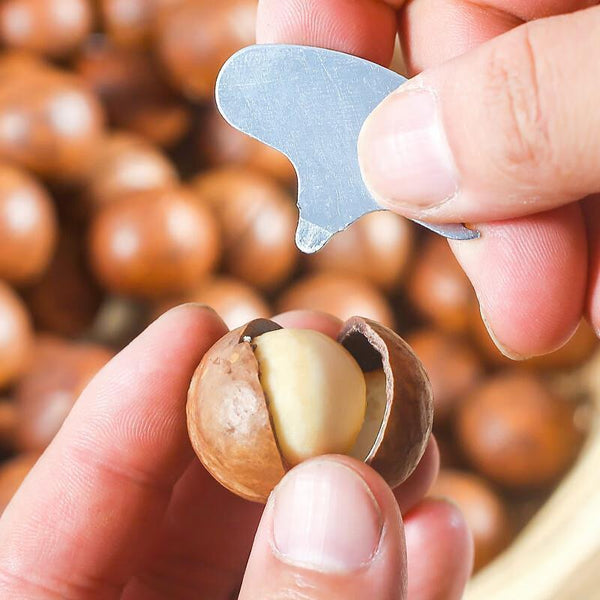 Macadamia Nuts Snacks Creamy Flavor Casual Dried Fruits