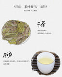 Golden Leaf White Tea China Mint Aroma White Tea Organic Ancient Tree 300g