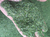 Guizhou Alpine Tea Bird's Tongue Mao Jian Tea Pieces Bulk Alpine Yunwu Tea Piece