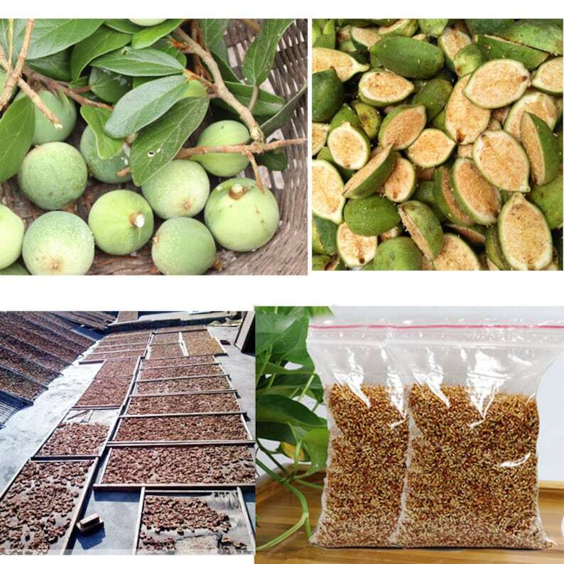 Nature Wild Aiyu Jelly Seed 愛玉子 Ai Yu Jelly