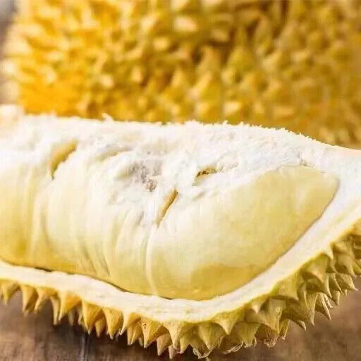 HELLOYOUNG Premium Freeze Dried Durian Powder - Pure, Strong Flavour Taste Main image