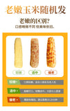 Xishuangbanna Sticky Corn – Vacuum-Packed Sweet Snack