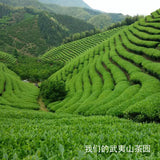 Red Edges Wuyi Rock Tea Four Famous Varieties Minbei Oolong with Green Leaves