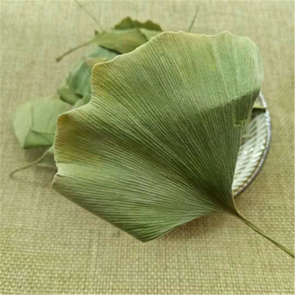 Ginkgo leaves Tea Medicinal Herbal Tea Ginkgo Biloba Leaves Chinese Wild Plant