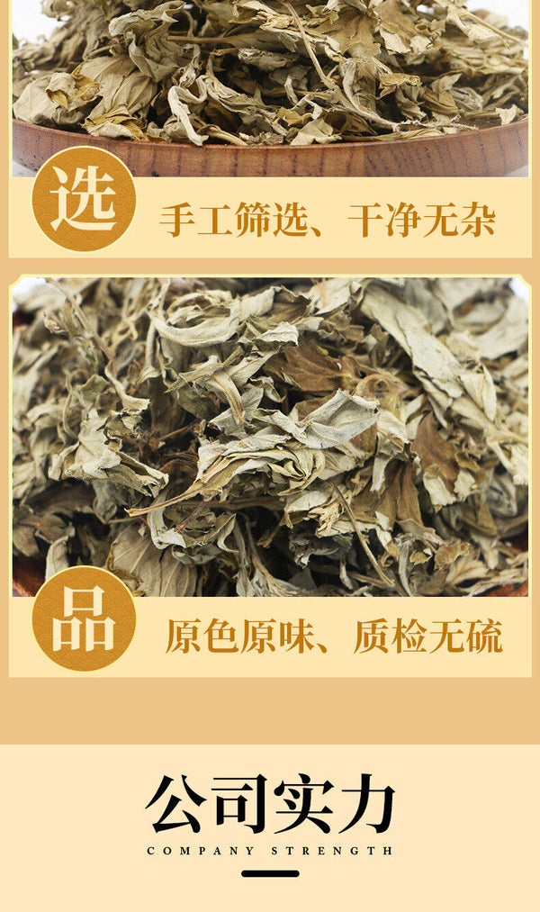 Big Mugwort Leaf Mugwort Leaf Fresh Mugwort Leaf Produce Mugwort Herb 500g/1.1lb