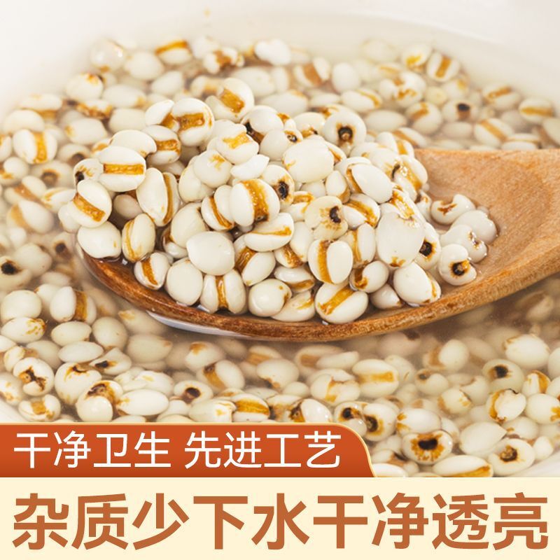 500g Job’s Tears (Coix Seeds) - Whole Grain for Tea & Porridge Main image