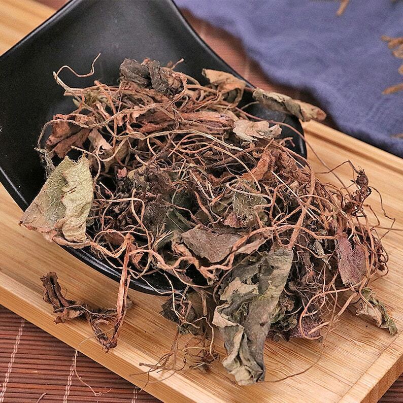 Organic Dried Saxifraga Stolonifera, Herba Saxifragae, Saxifrage Secondary image