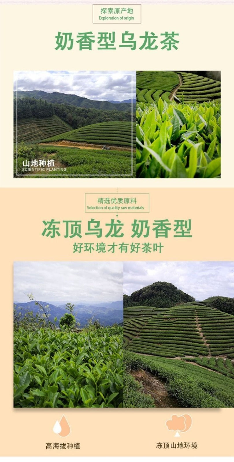Premium Charcoal Roasted Tie Guan Yin Oolong Tea Gift Box Alishan High Mountain