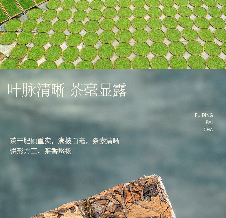 Fuding Old White Tea Shou-mee Kleine Quadratische Geschenkbox Kleine Tee Kuchen