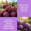 Health Drink Prune Slimming Jelly Drink 30g*10 strips/box