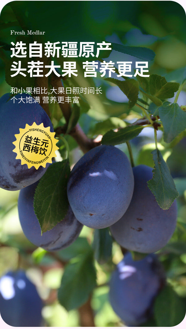 Prebiotic Prune Juice 150ml: Fruit Veg Drink for Digestive Health