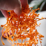 Cordyceps Militaris Flower 50-500g Chinese Herbal Premium Natural Specialty