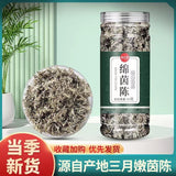 Fresh Artemisia Scoparia Tea 50g/bottle Yin Chen Chinese Herbal Tea