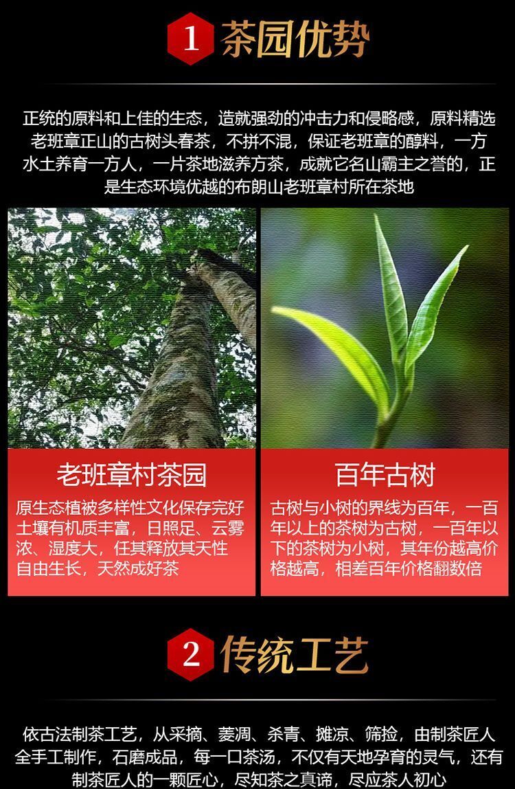 Puer Longzhu Yunnan Ancient Tree Old Banzhang Puer Raw Tea