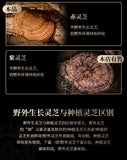 Ganoderma lucidum tablets in tea and soup Changbaishan wildlife infusion tea