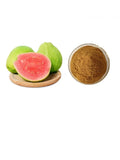 Guava Leaf Extract Powder 30:1 Water Soluble Psidium Guajava Plant Concentrate