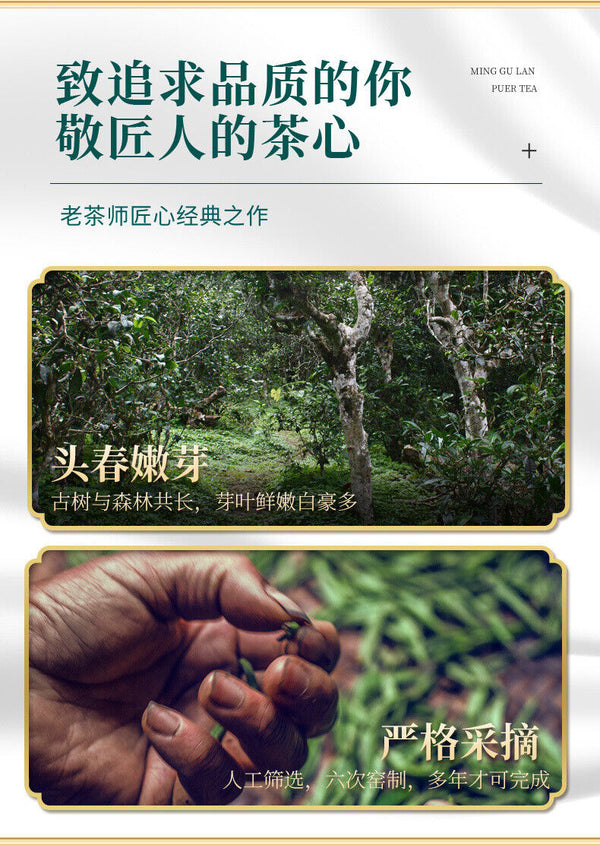 Minggulan Pu'er Ripe Tea Broken Silver Tea Glutinous Fragrant Good Tea 200g/bag