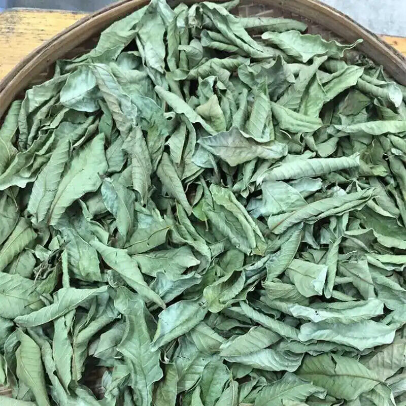 Fan Shi Liu Ye Bulk Tea Organic Chinese Fresh Dried Guava Loose Leaf Herbal Tea Main image