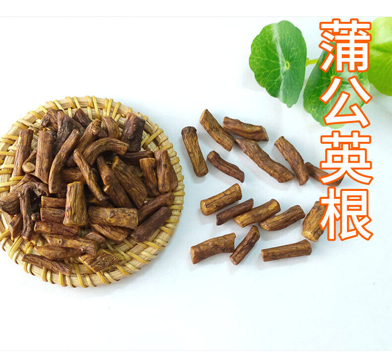 Wholesale dandelion root / dandelion tea bulk dandelion root 17.6oz