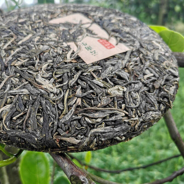 357g Natural Arbor Cha Pu'er Tea Organic Green Tea Cake Health Care Chinese tea