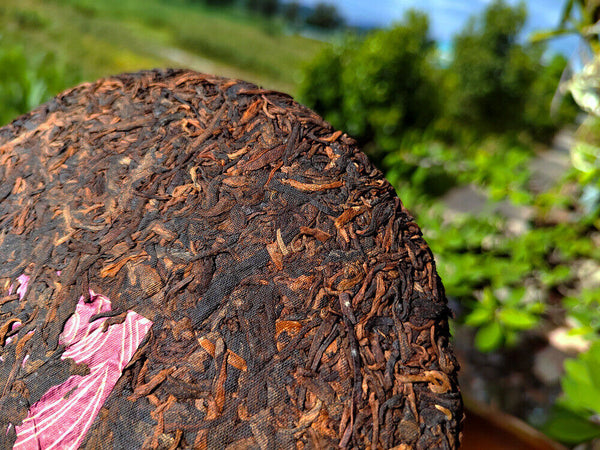 Golden Needle Pu'er Ripe Tea Palace Golden Bud Pu'er Tea Cake Aged Tea 12.6oz