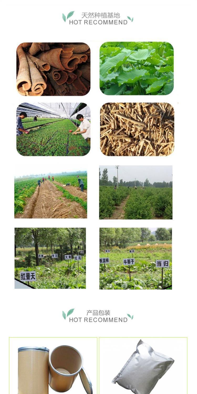 Yucca Schidigera Extract Powder Water Soluble | Natural Foaming Agent