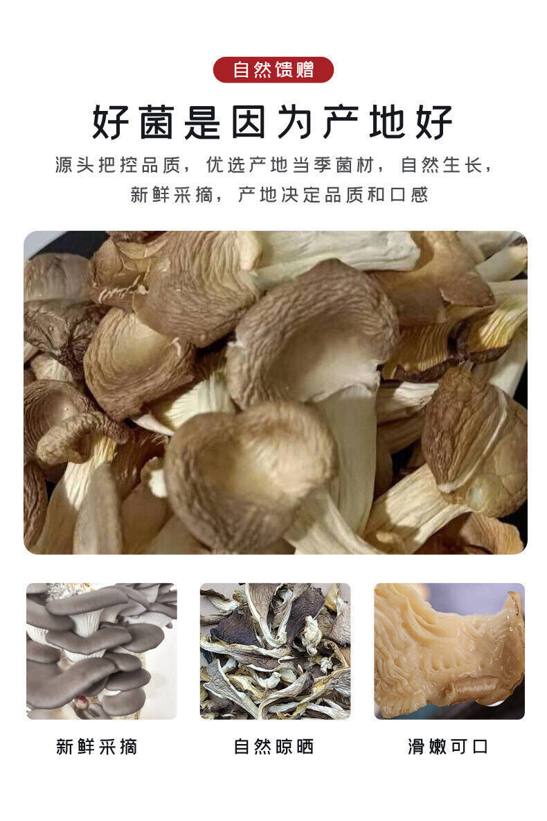 Fresh Oyster Mushroom Strips, Phoenix Tail Mushroom, Yunnan Farm Wholesale