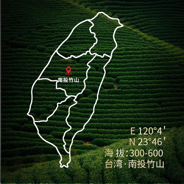 Authentic Nantou High Mountain Dong Ding Oolong Tea Da Yu Ling2024 New Fresh Tea