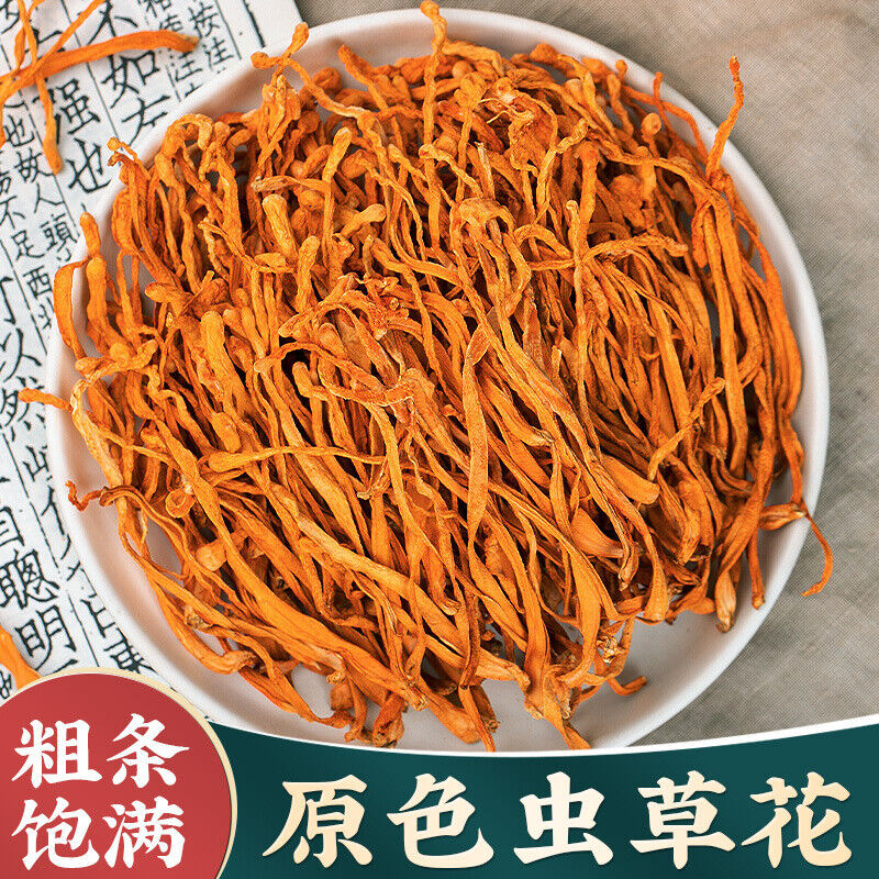 Authentic Cordyceps Militaris 250g/500g Spore Head Fresh Cordyceps Soup Material
